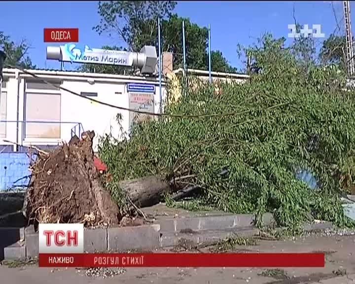 Одеса 31.05.2013 2