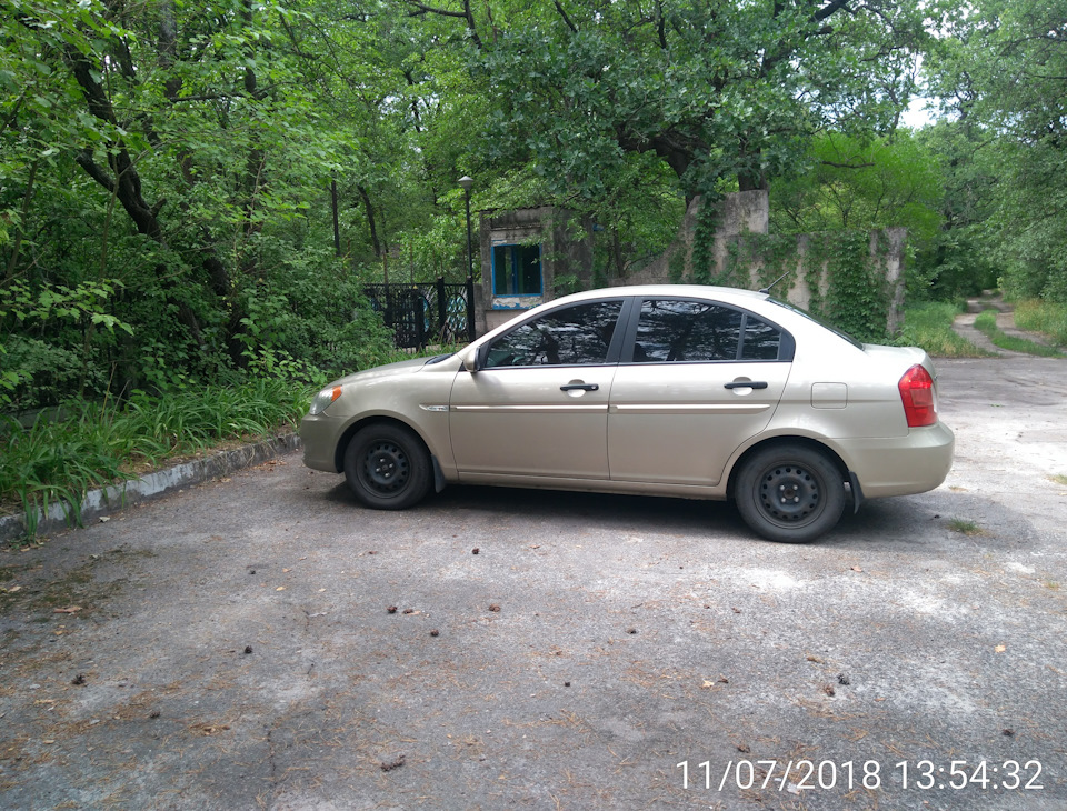 Пару фоточок з лісу 1