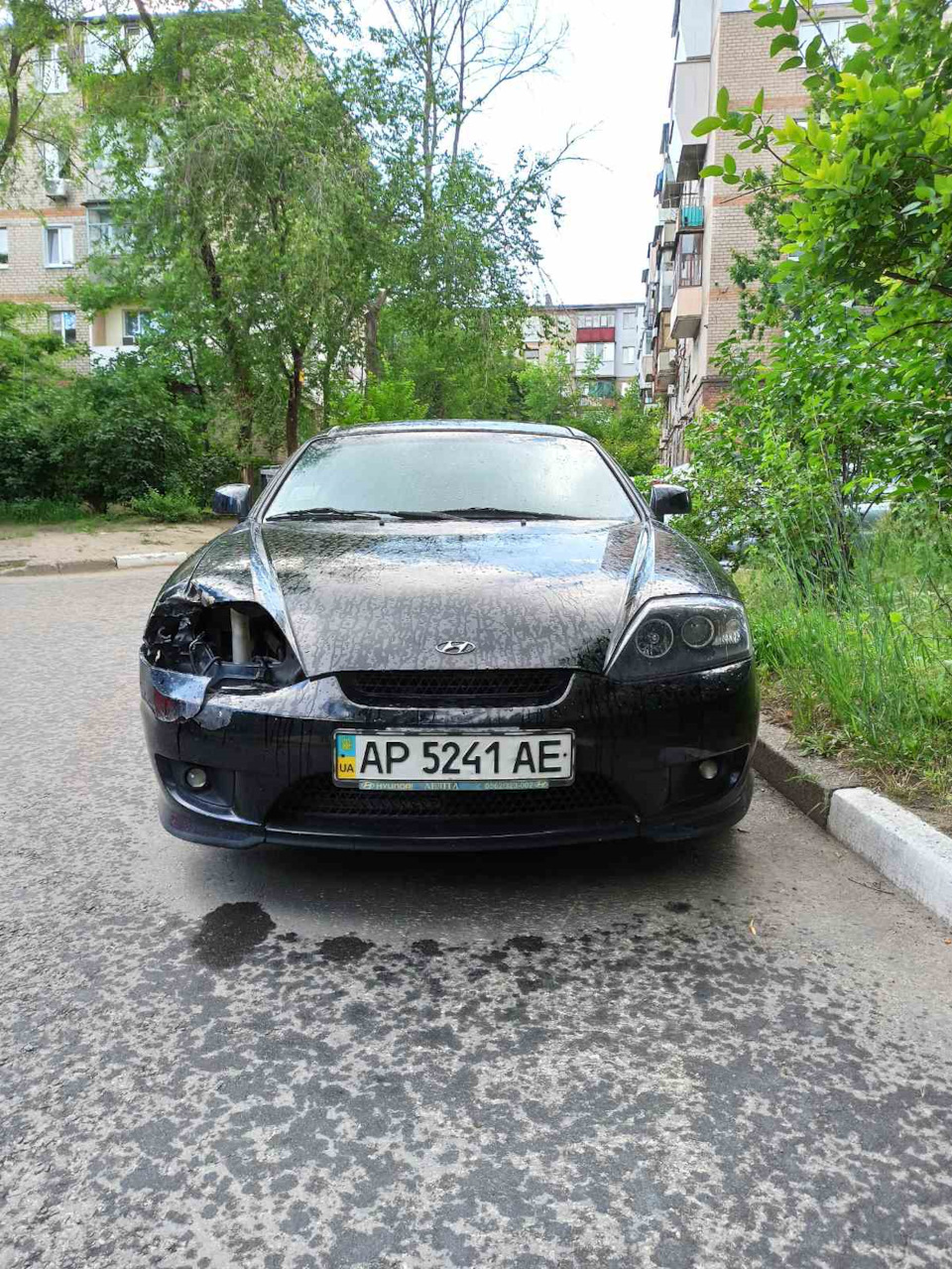 Дтп тибурон 1