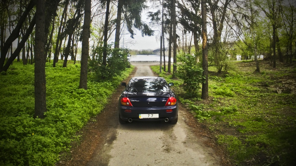 Трохи фоток, знічев'я робити! 2