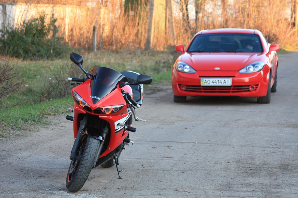 Мої улюбленці 3