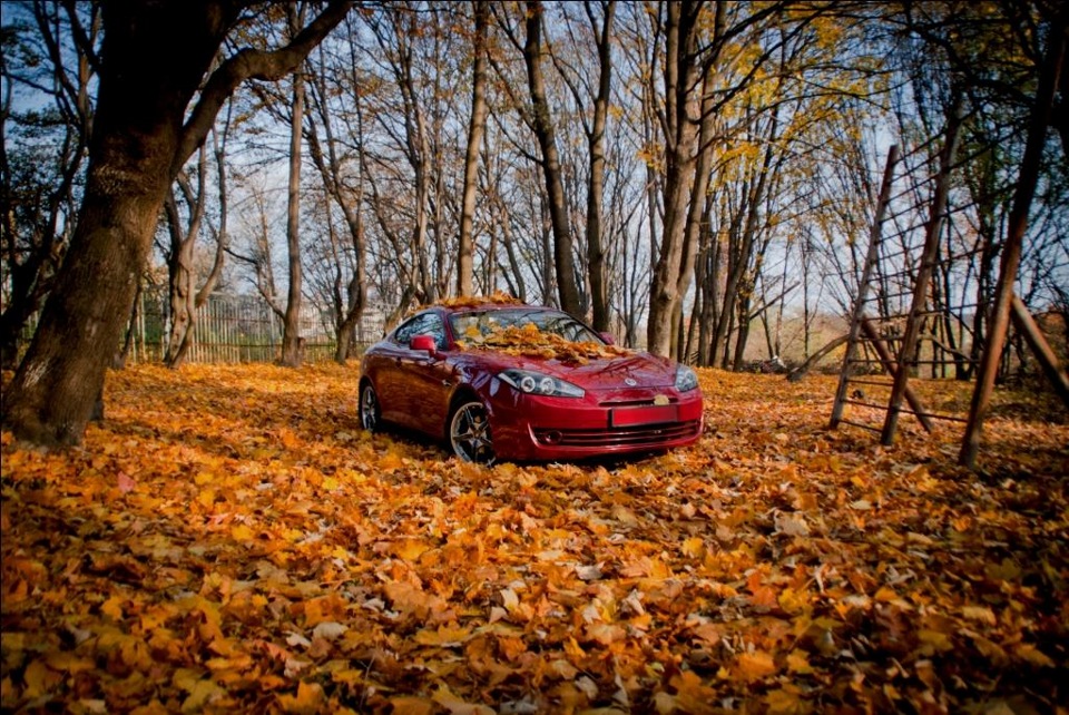 Фотосет Sweet November 1