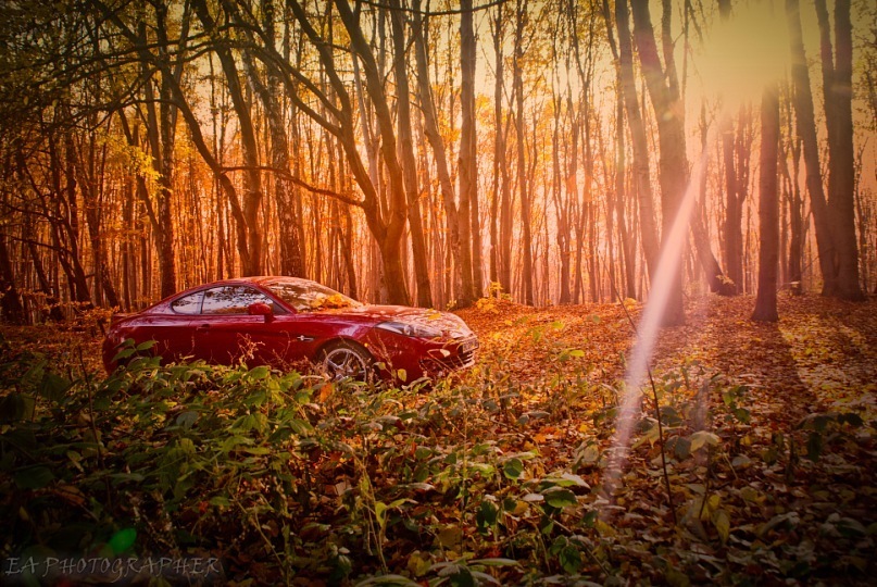 Фотосет Sweet November 4