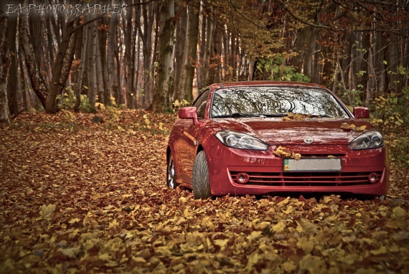 Фотосет Sweet November 5