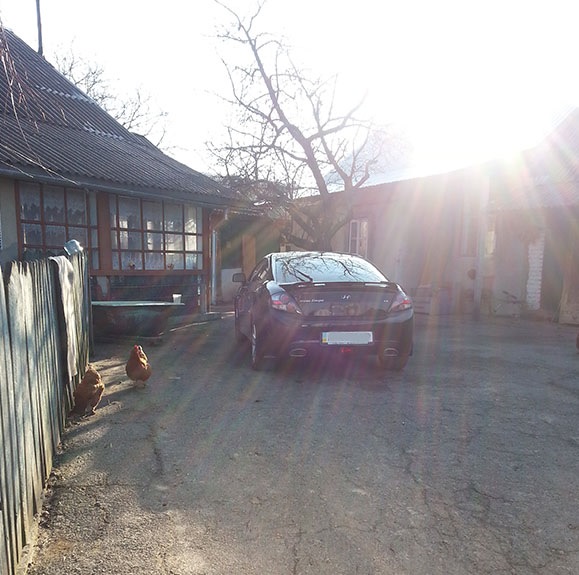 Про кішок. Багіра ;) 3