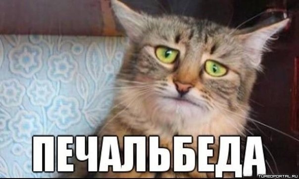 Ех…чет сумно і сумно. А Вас що? 1