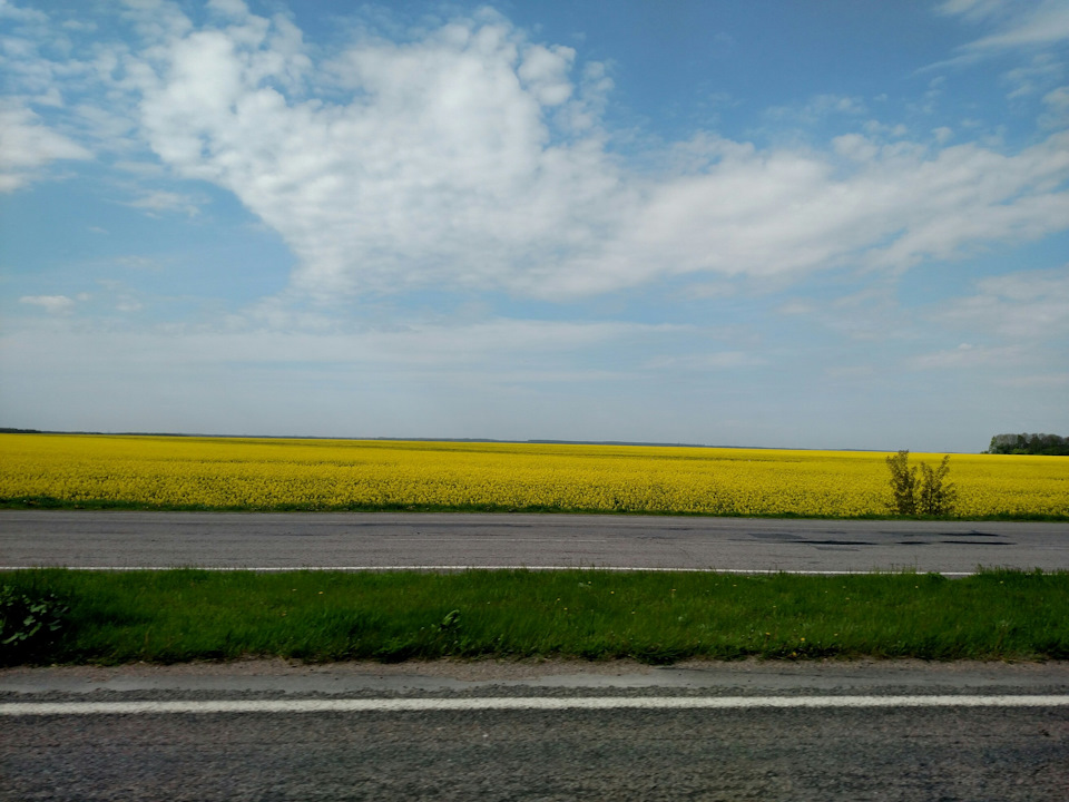 Одеса-Київ-Жденієво і назад 3