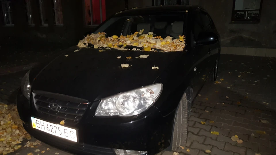 Ось і осінь