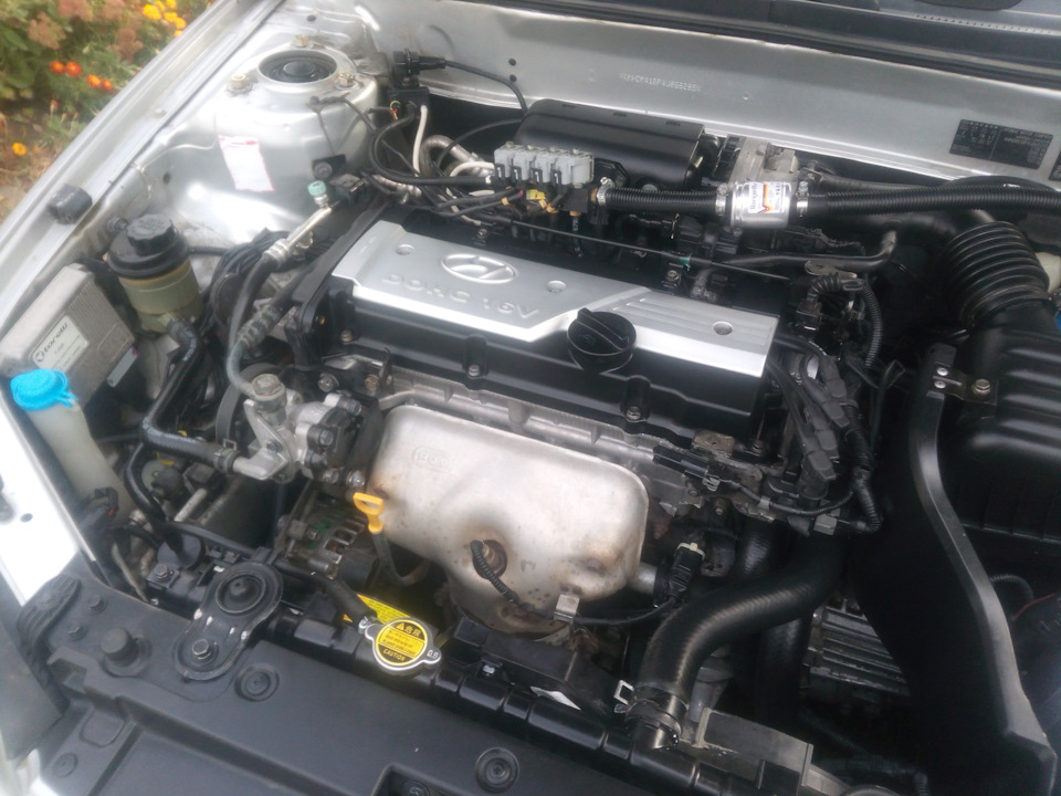 Мийка двигуна Elantra xd 1