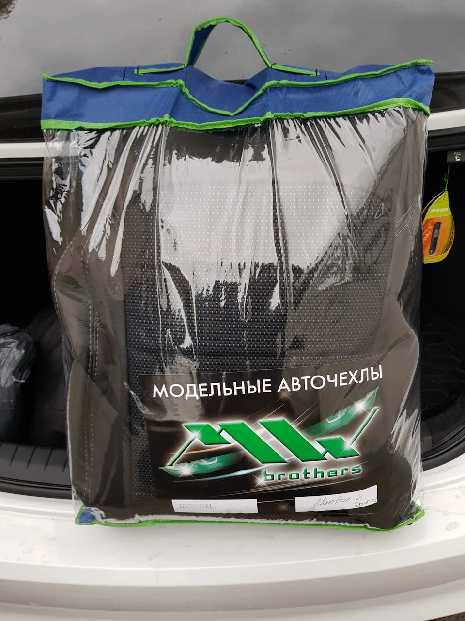 Чохли