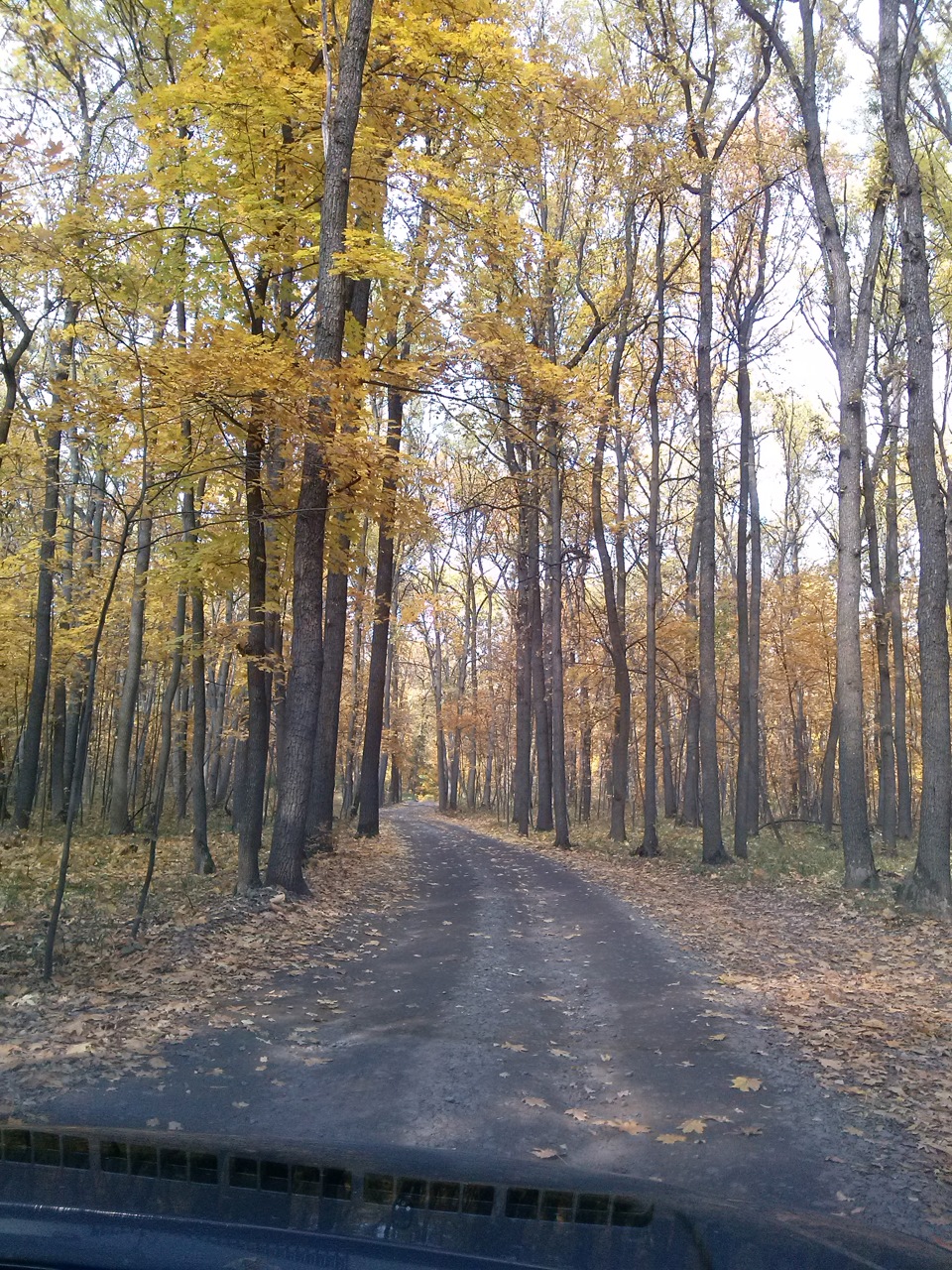 на природу))) 3