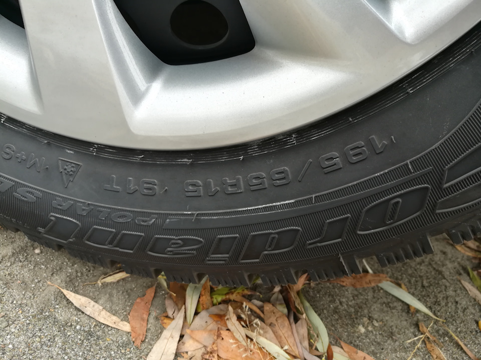 Зимові лапті Cordiant Polar SL 195/65 R15 2
