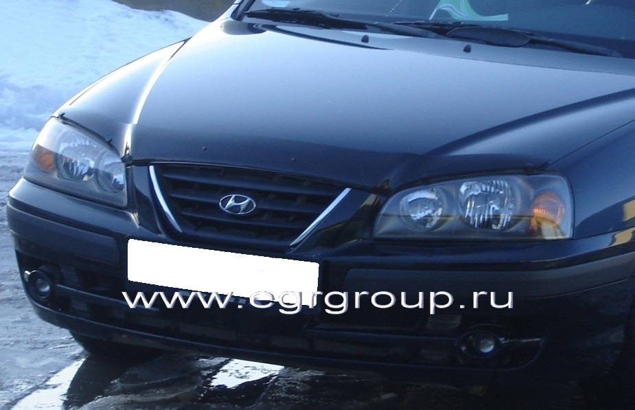 Мухобійка EGR 1