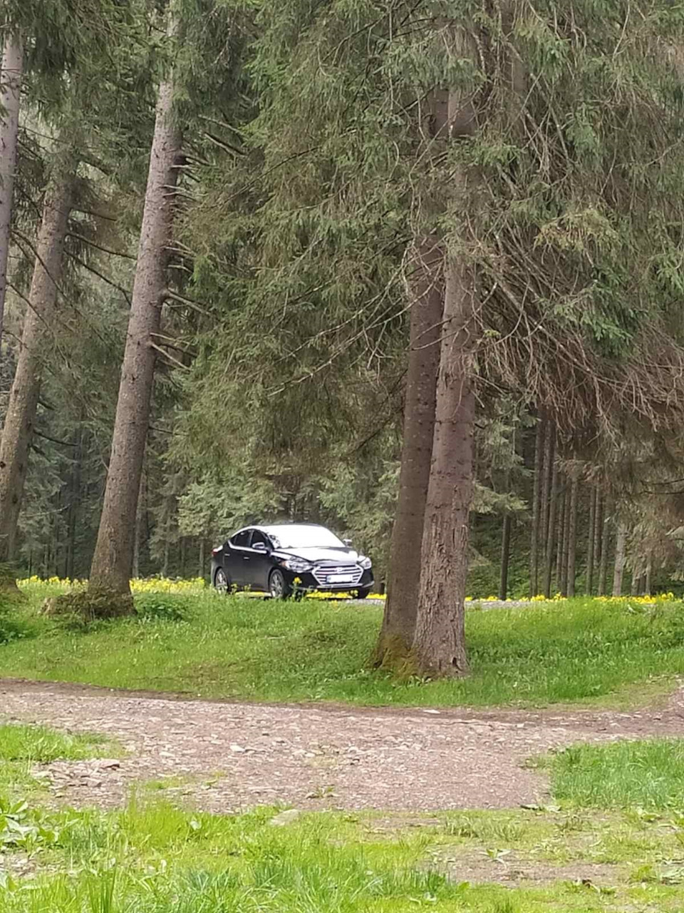 У непланове відрядження до Карпат. 2