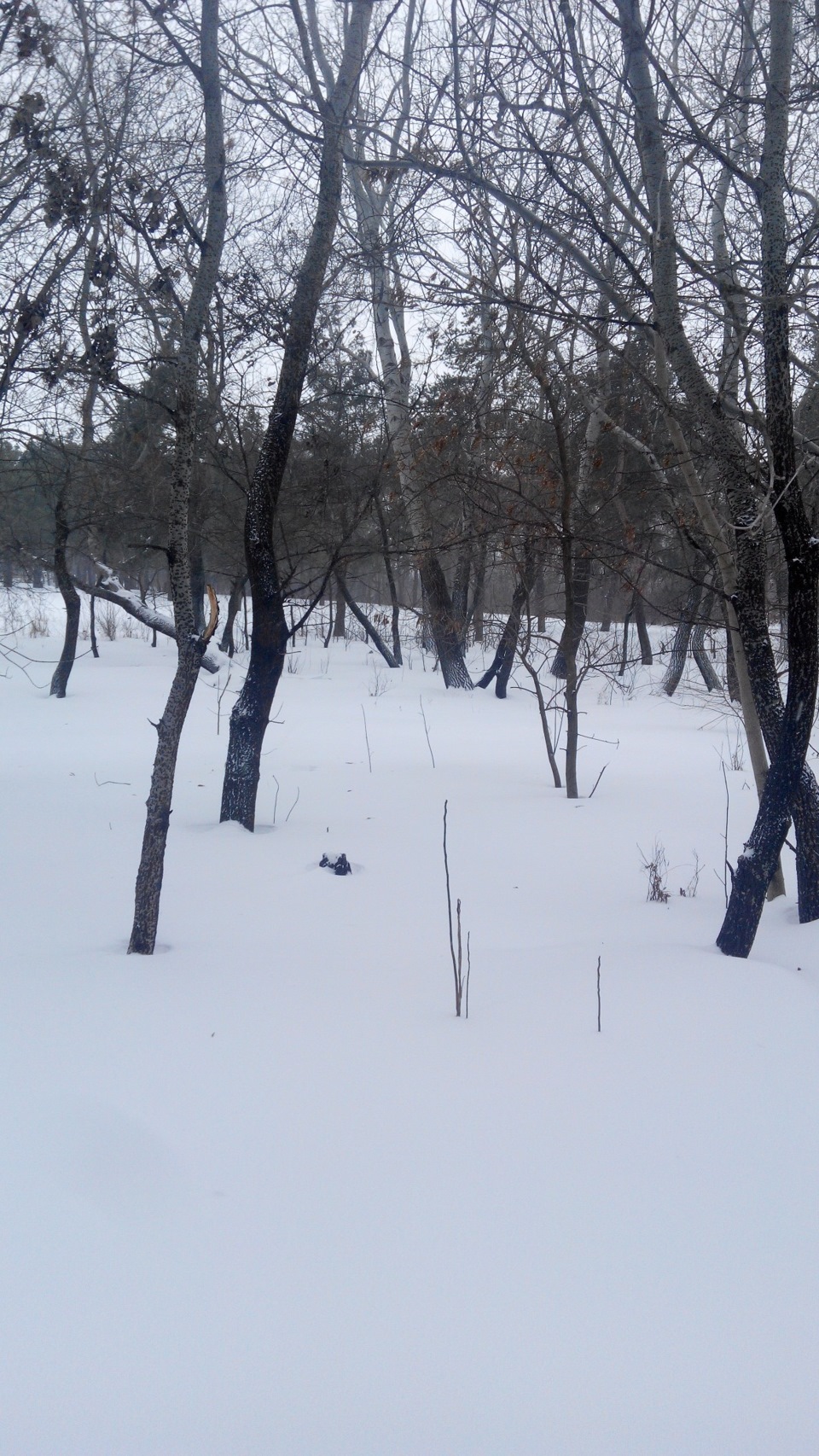 Ще кілька фоток 2
