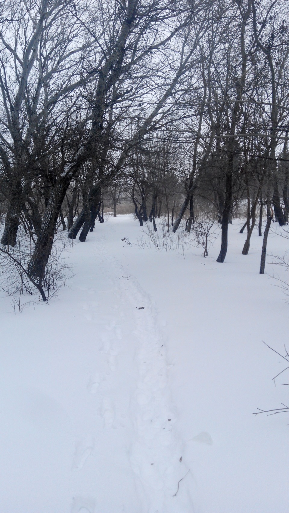 Ще кілька фоток 3