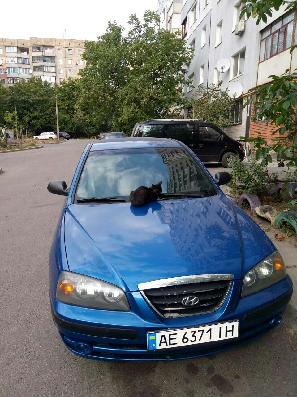 Поки я на роботі... 2