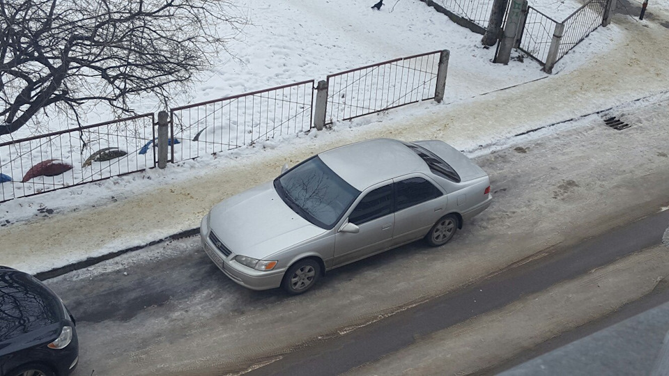 Стоїть і нудьгує... нудьгує 278 коней: 139 коней і 139 коней :) 1