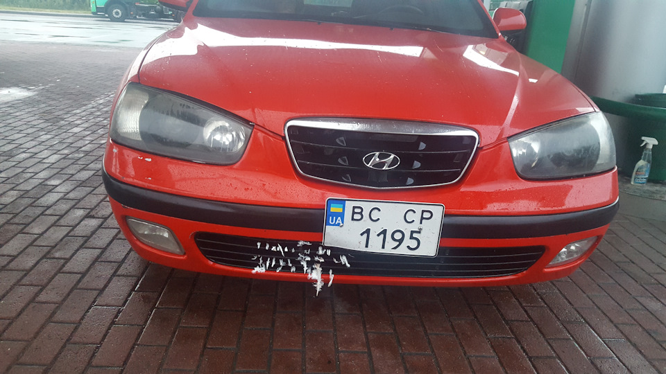 Зустрів голуба на трасі... але без пригод тьху-тьми... 150 км/год і мокра дорога... 1