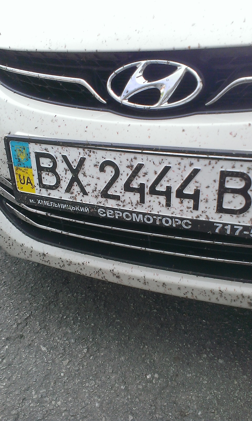 вбивця комарів :) 3