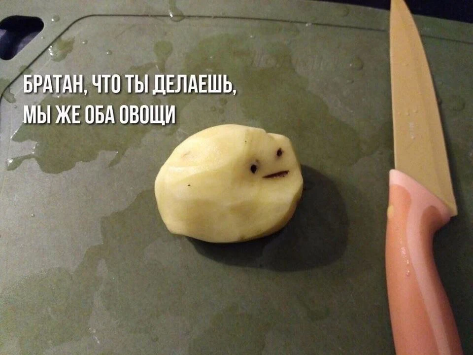 Керівництво Американки
