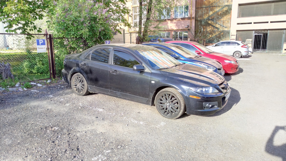 Поповнення в сім'ї 1