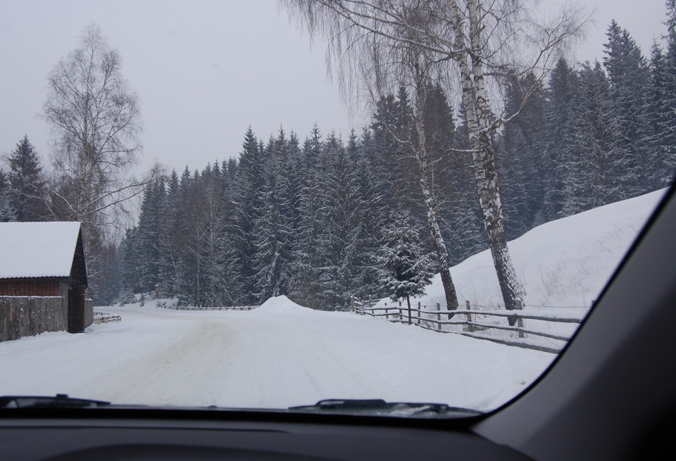 Перша поїздка в гори Драгобрат 2