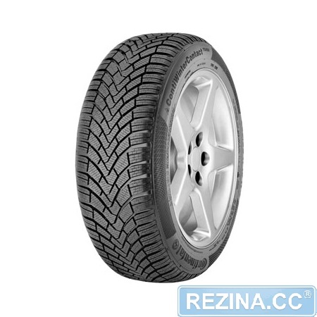 Зимовий Continental 1
