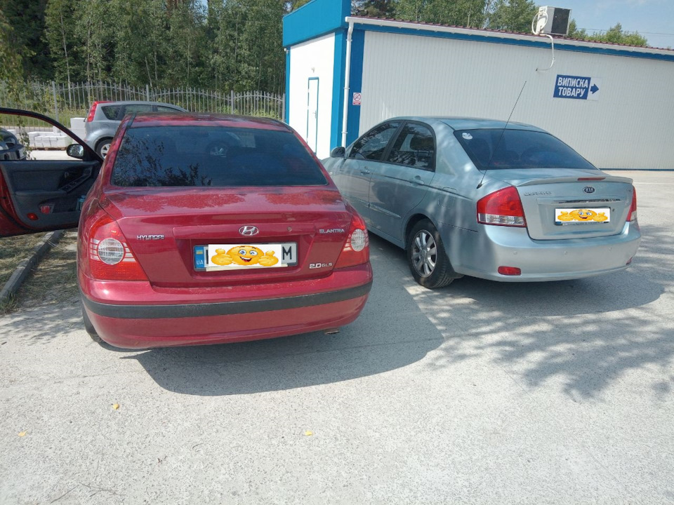 Дві сестри 2