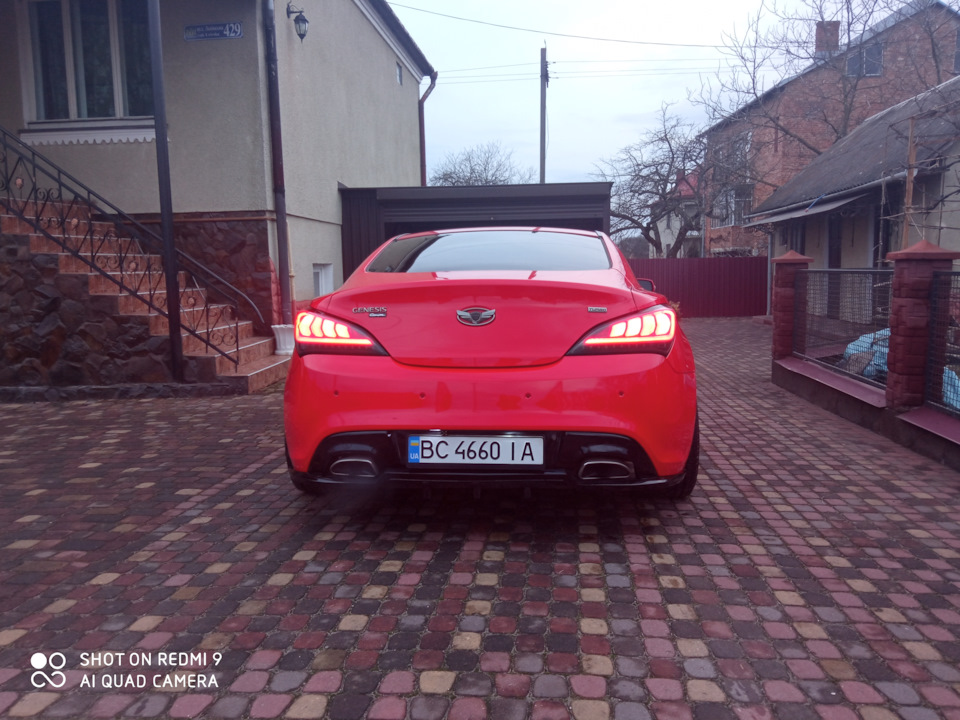 Лускаві ліхтарі. 5