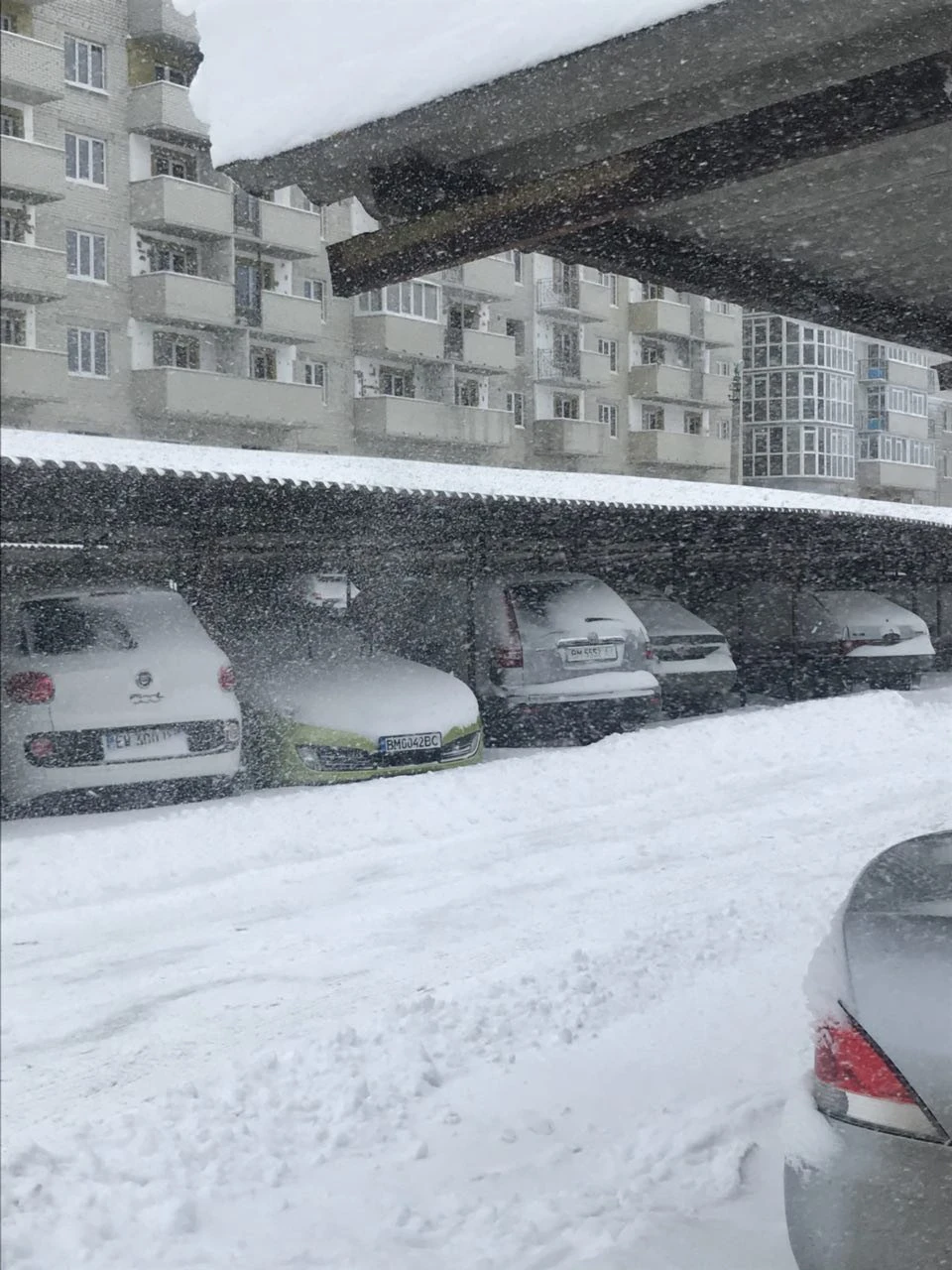 Сніговий полон