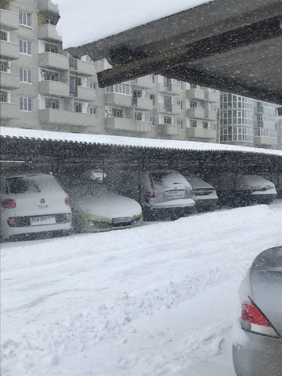 Сніговий полон 1