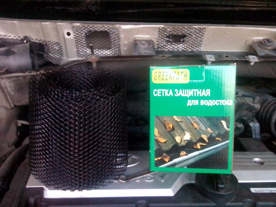 День сіточки. 3