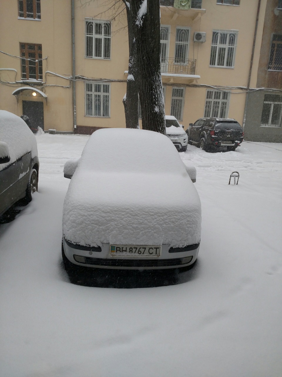 Поки вона спить 1