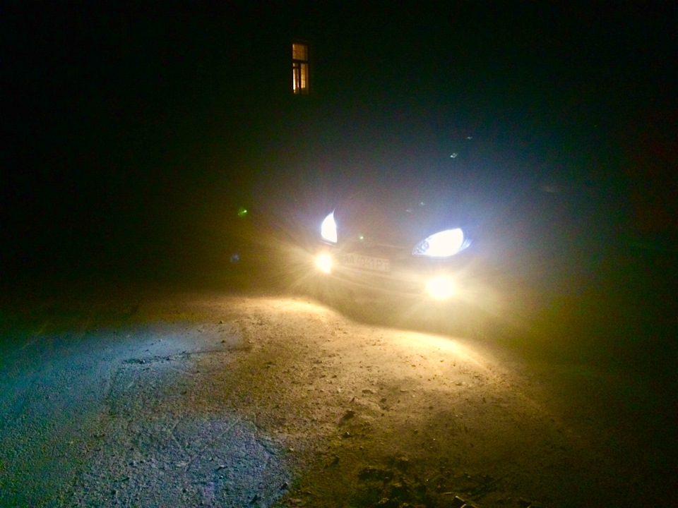 ПТФ у весняний колір⚠️ (епізод 2-й). 4