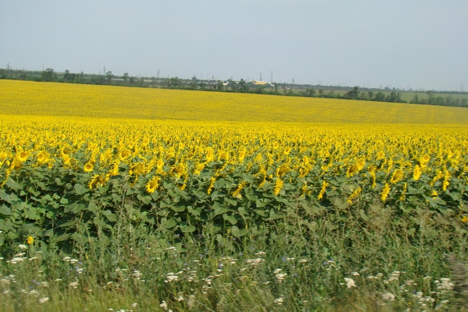 У БОЛГАРІЮ НА GETZ-Е І НАЗАД У 2011 (ЧАСТИНА 3) 1