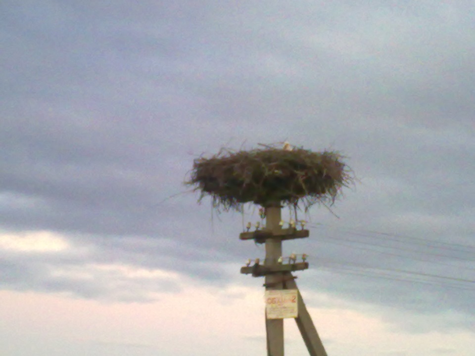Поїздка в далекі села 2