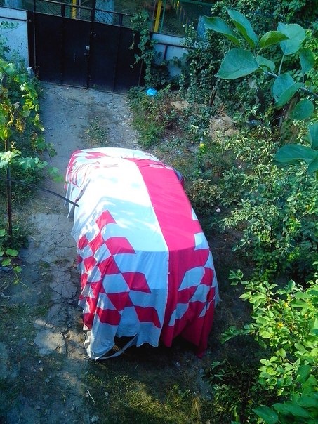 Чохол з прапорів 1