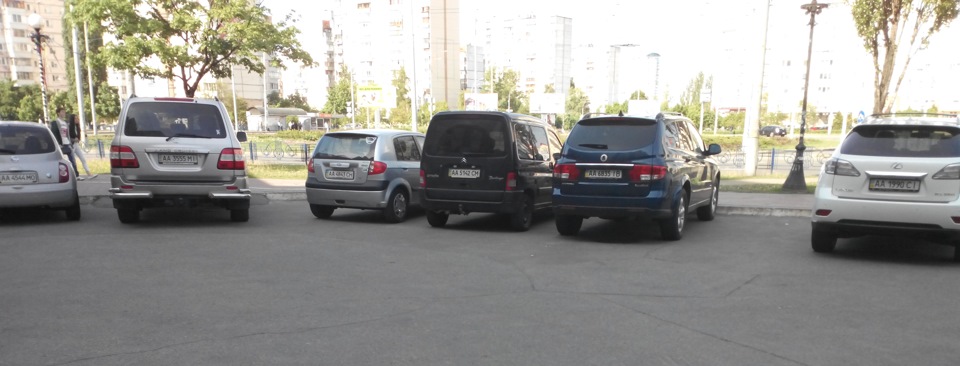 Шалена миша! 1