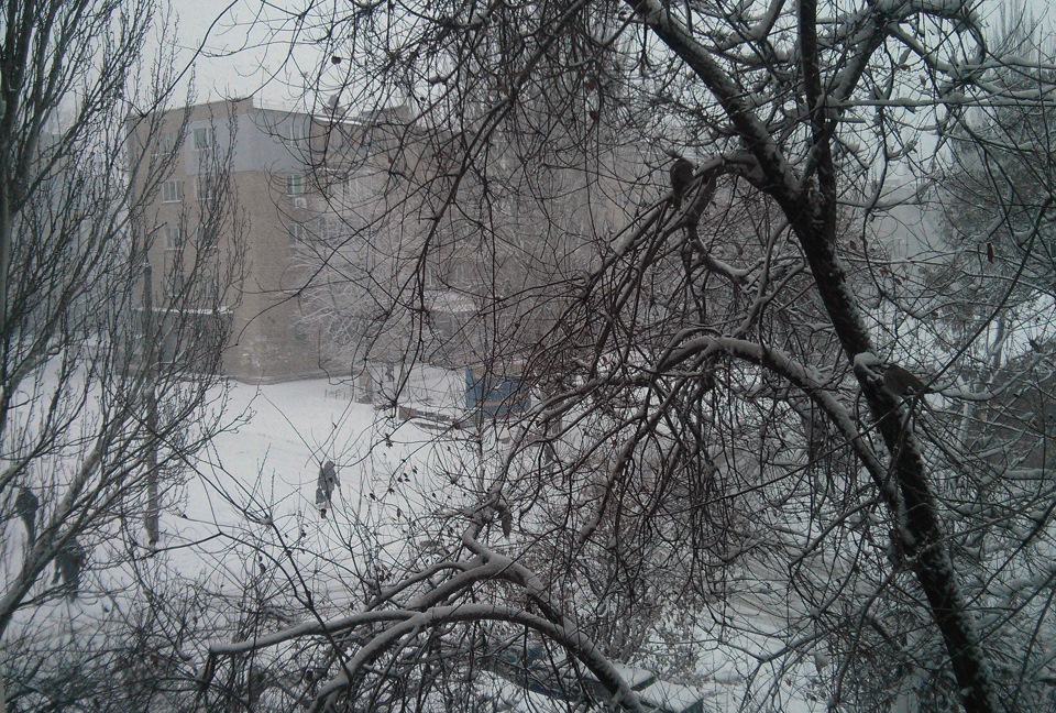 Снежище 1