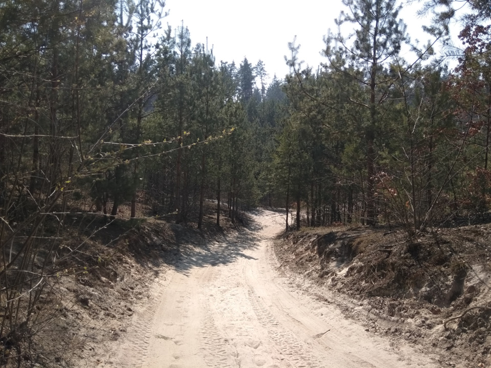 Травневі покотушки 3