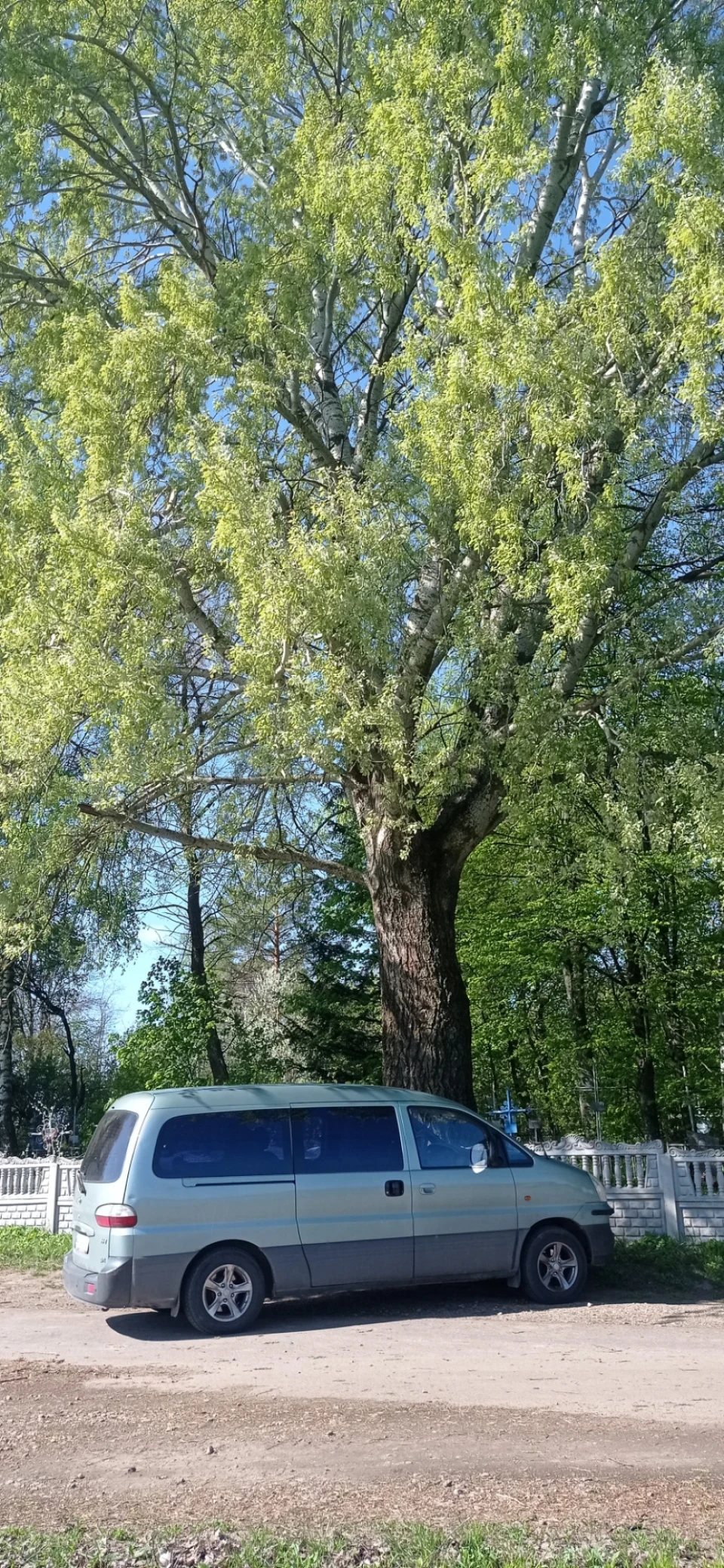 Травневі