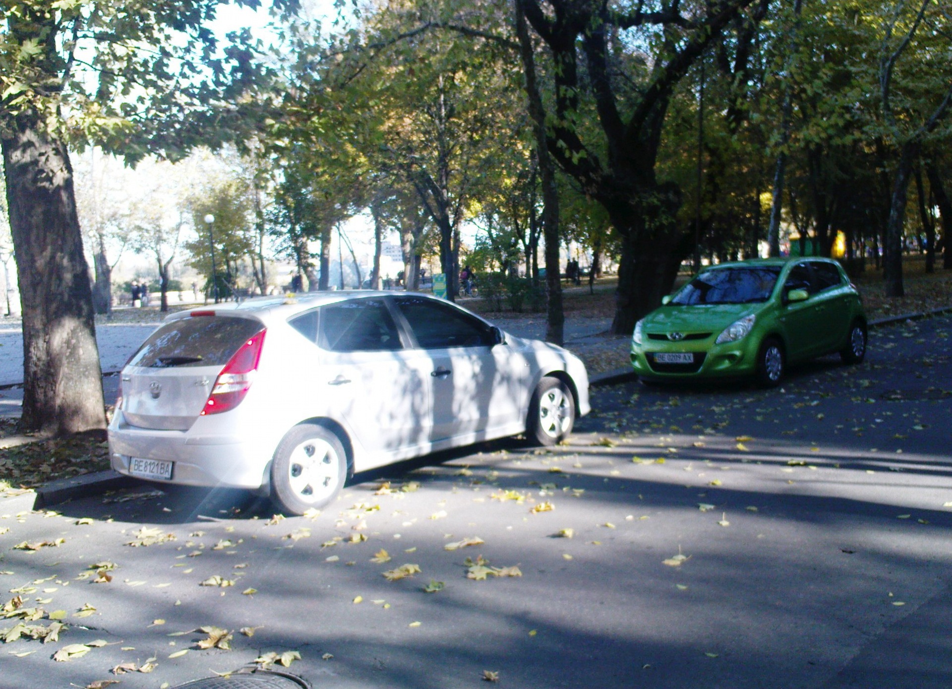 Осінні знімки 4