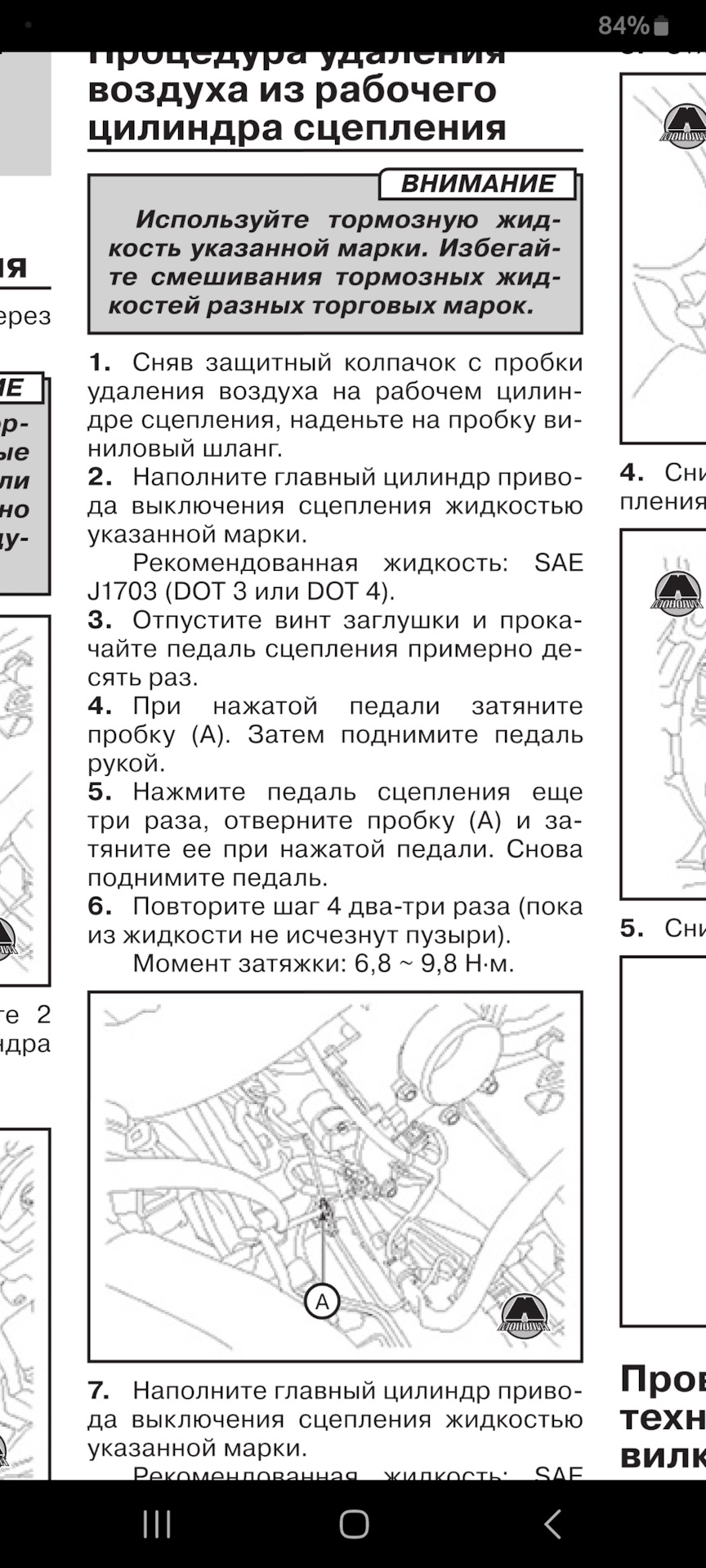 Зчеплення схоплює біля самої статі. 4