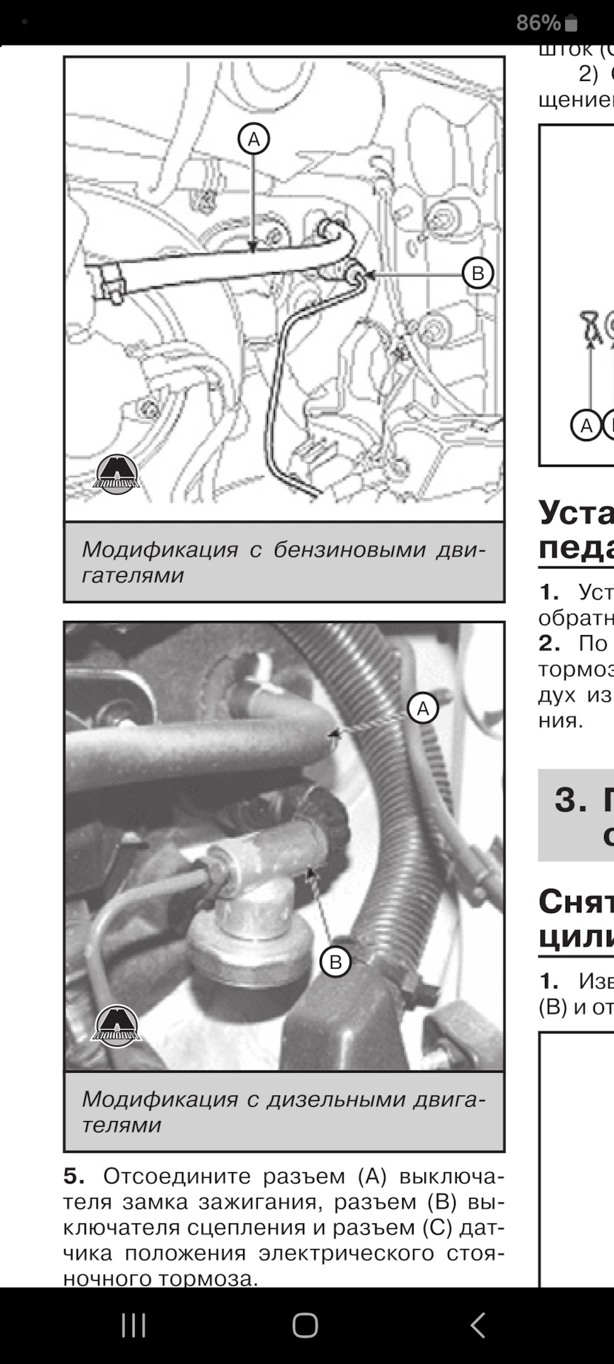 Зчеплення схоплює біля самої статі. 3