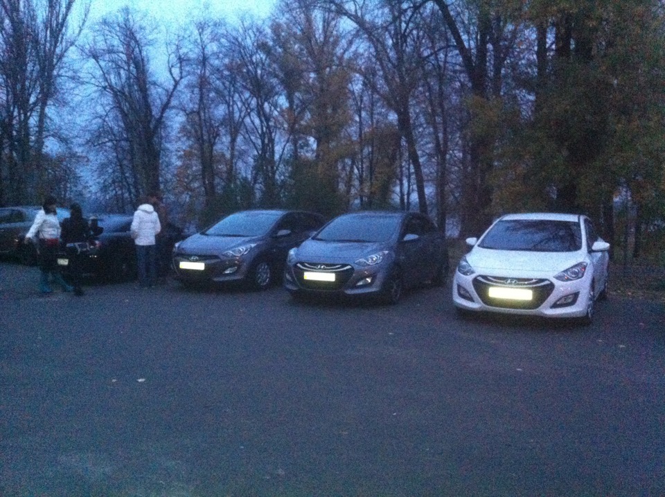 Фотозвіт зустрічі 2.11.13 4
