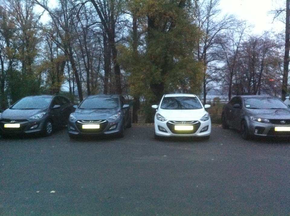 Фотозвіт зустрічі 2.11.13 2