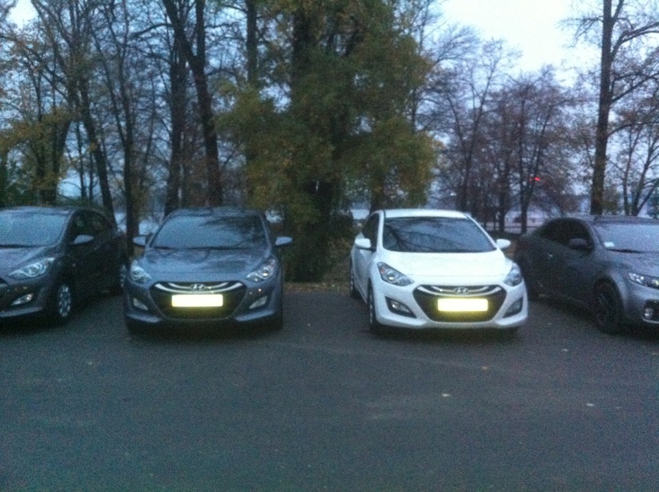 Фотозвіт зустрічі 2.11.13 1
