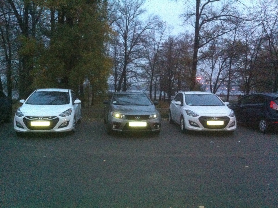 Фотозвіт зустрічі 2.11.13 3