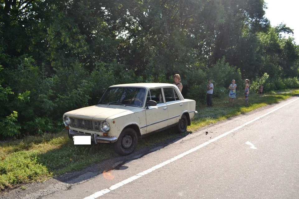 Нічого не віщувало біди ... або як небезпечний колгосп